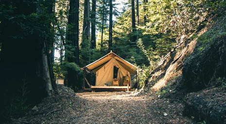 GLAMPING，昰(shi)營(ying)地髮(fa)展(zhan)的(de)大(da)勢(shi)所趨